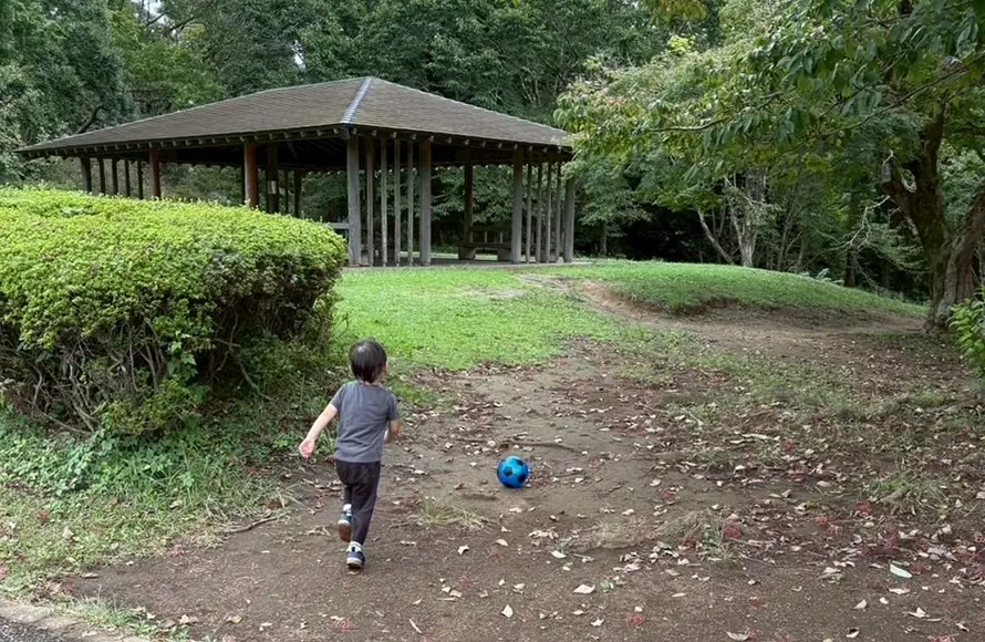 休日の過ごし方